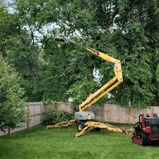 Professional Tree Removal Services in Woodbranch, TX